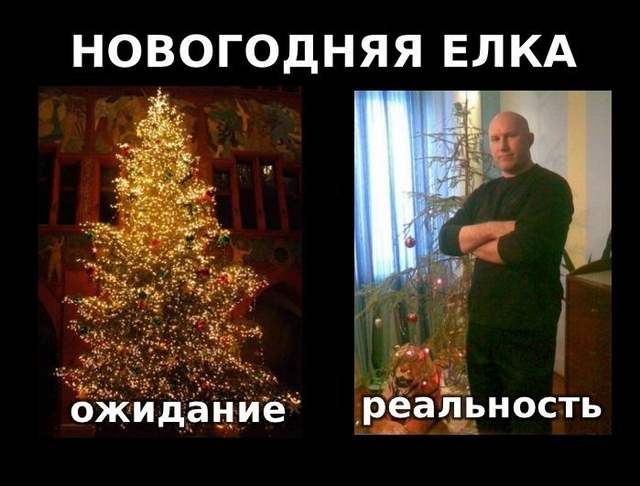 новый год в подмосковье